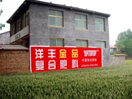  明溪如何让墙体广告展现最大化效果