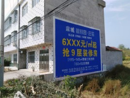  明溪墙体广告质量分析
