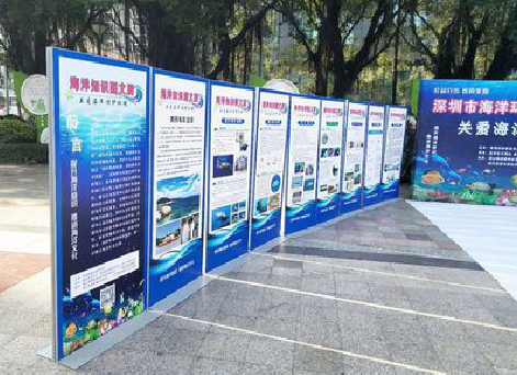  明溪KT板的种类和知识。